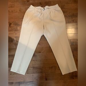 Alia Women’s size 20W pants